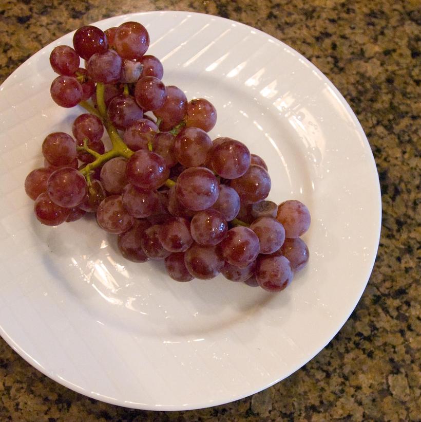 Grapes - Reliance (Seedless) - 2 gallon pot