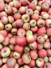 Court Pendu Plat - Heirloom Apple Tree - 2 Year Old Bare Root