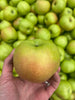 Rhode Island Greening - heirloom apple tree