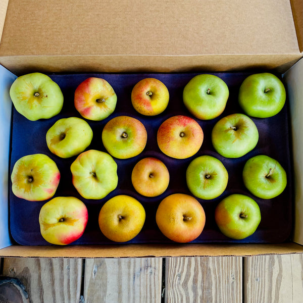 Heirloom Apple Gift Box 18ct. MS