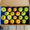 Heirloom Apple Gift Box 18ct. MS