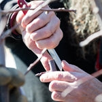 Bud Grafting Workshop- Sat, Aug 17