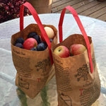 2025 CSA Family Share- Monday pick-up at Scott Farm
