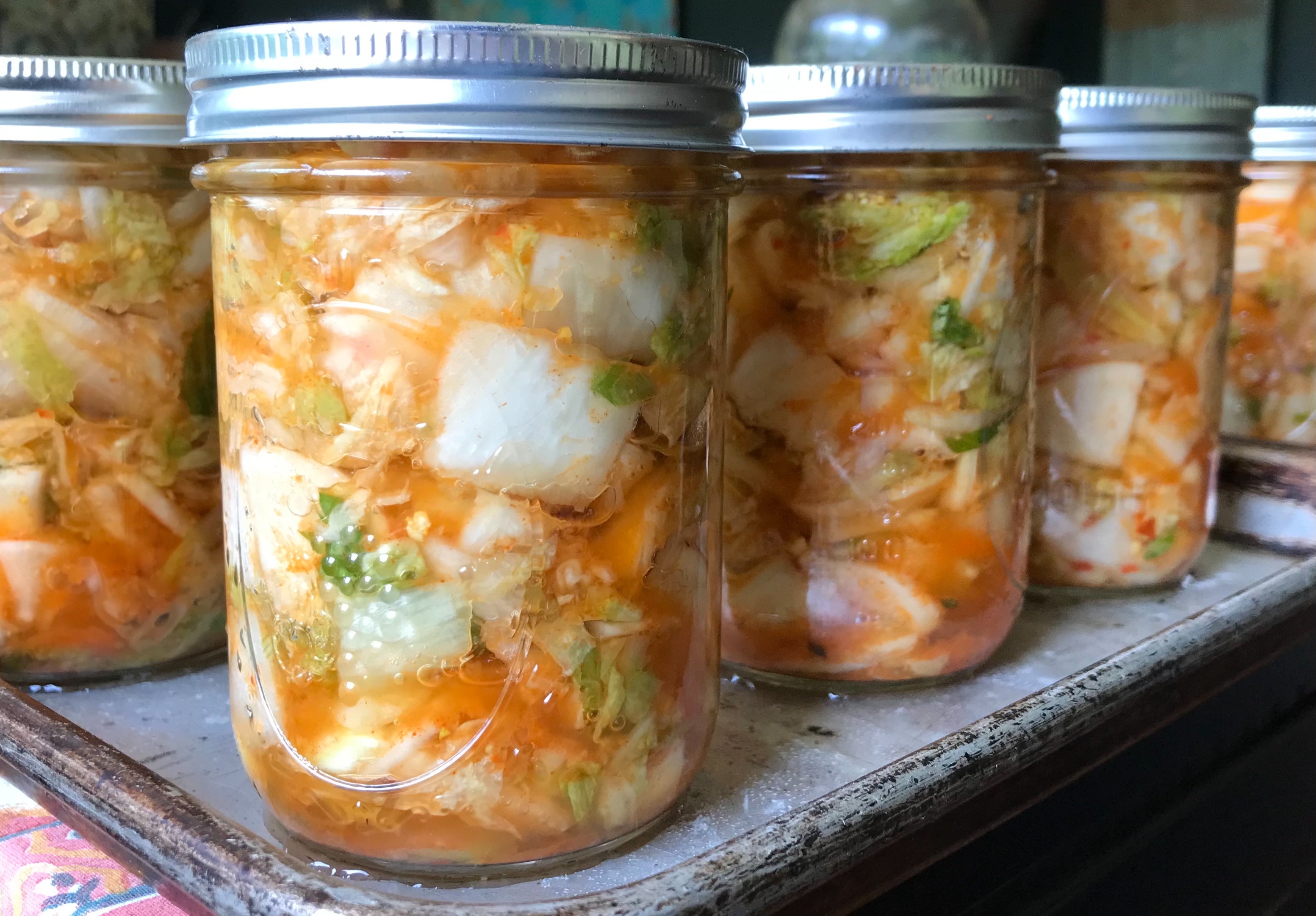 Lacto fermentation workshop - September 18th